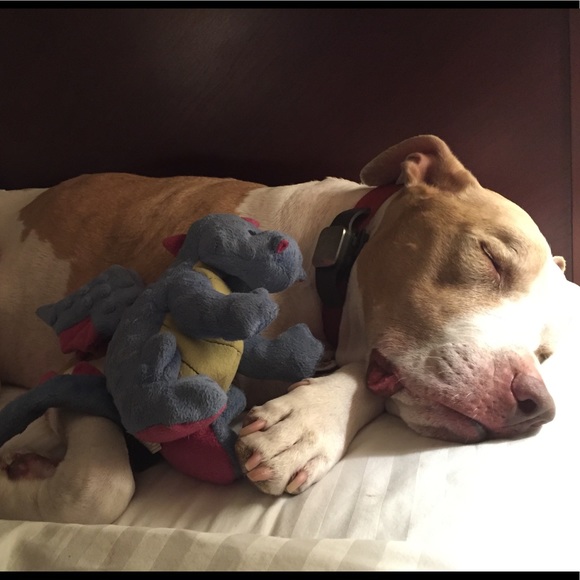 Meet your Posher, Erica - Picture 4 of 6